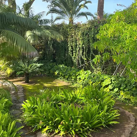 Apartment La Gomera